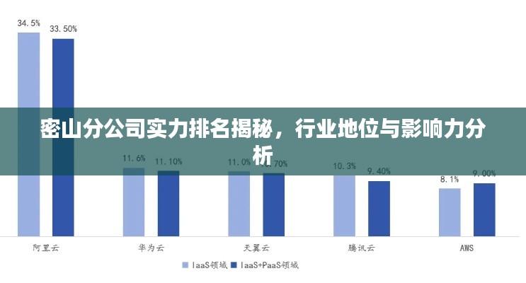 密山分公司实力排名揭秘,行业地位与影响力分析
