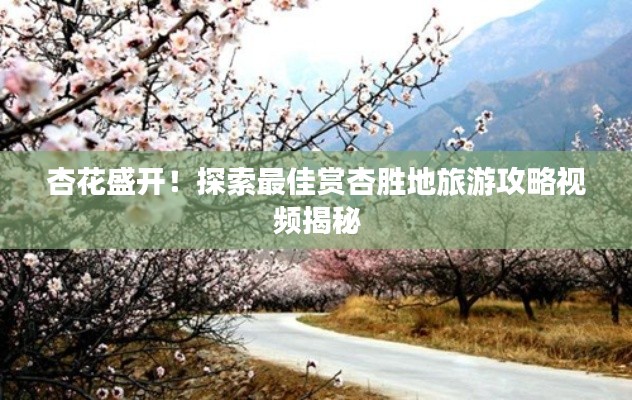 杏花盛开!探索最佳赏杏胜地旅游攻略视频揭秘
