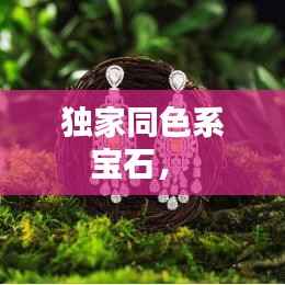 独家同色系宝石,