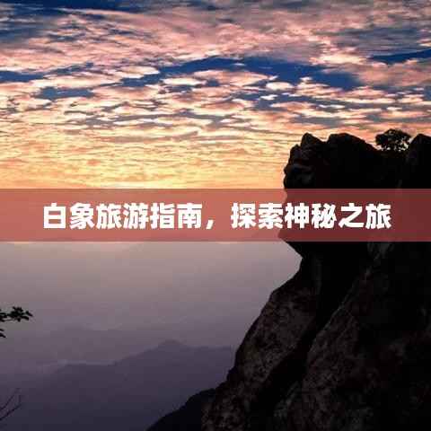 白象旅游指南,探索神秘之旅