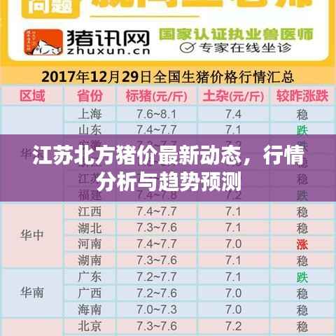 江苏北方猪价最新动态,行情分析与趋势预测