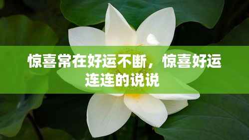 惊喜常在好运不断,惊喜好运连连的说说