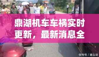 鼎湖机车车祸实时更新,最新消息全面掌握