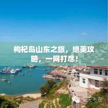 枸杞岛山东之旅,绝美攻略,一网打尽!