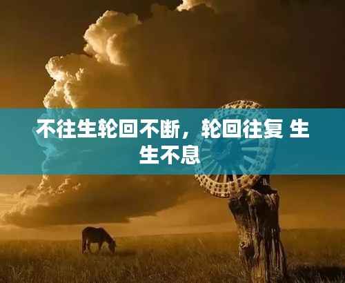 不往生轮回不断,轮回往复 生生不息