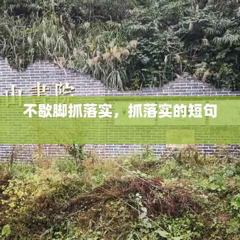 不歇脚抓落实,抓落实的短句
