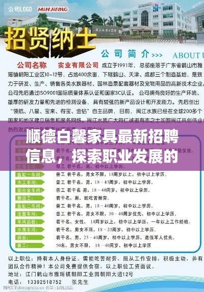 顺德白馨家具最新招聘信息,探索职业发展的理想伙伴