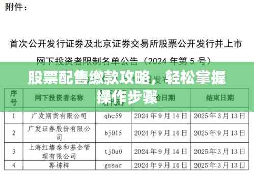 股票配售缴款攻略,轻松掌握操作步骤