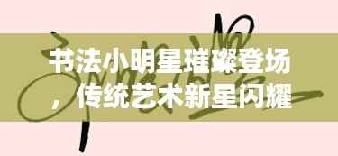 书法小明星璀璨登场，传统艺术新星闪耀天际