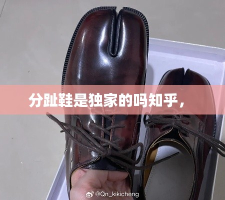 分趾鞋是独家的吗知乎,