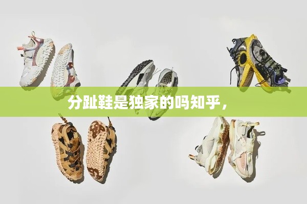 分趾鞋是独家的吗知乎,