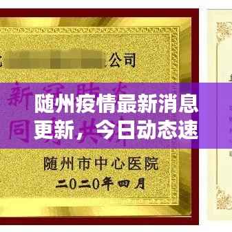随州疫情最新消息更新,今日动态速递