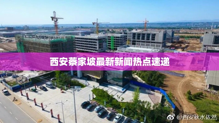 西安蔡家坡最新新闻热点速递