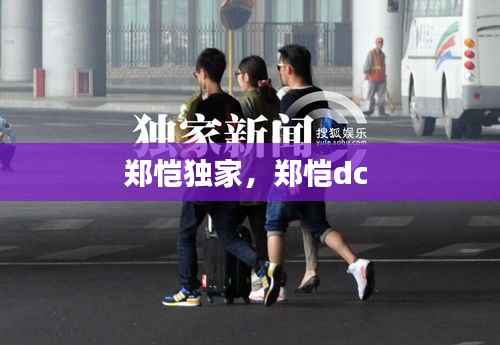 郑恺独家,郑恺dc