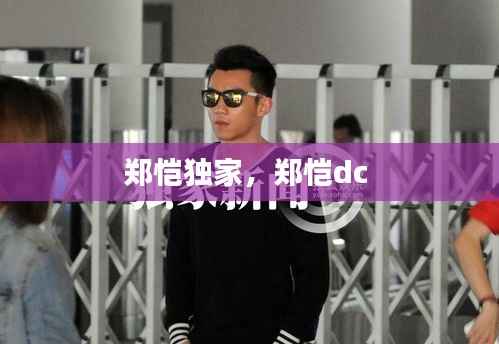 郑恺独家,郑恺dc