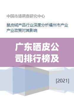 广东晒皮公司排行榜及行业深度剖析