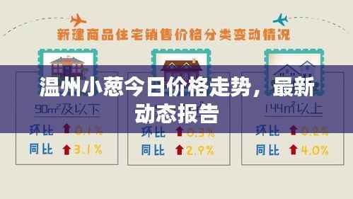 温州小葱今日价格走势,最新动态报告