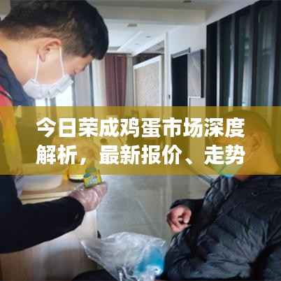今日荣成鸡蛋市场深度解析,最新报价、走势与产业洞察