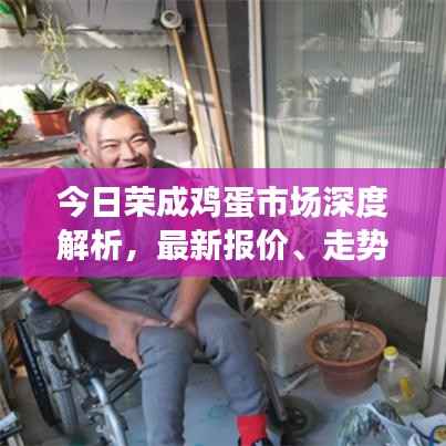 今日荣成鸡蛋市场深度解析，最新报价、走势与产业洞察