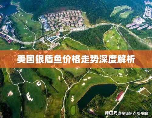 美国银盾鱼价格走势深度解析