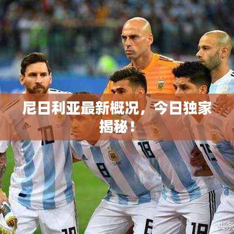 纲挈目张 第4页