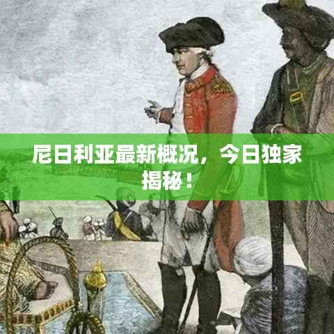 尼日利亚最新概况,今日独家揭秘!