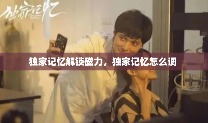 独家记忆解锁磁力,独家记忆怎么调