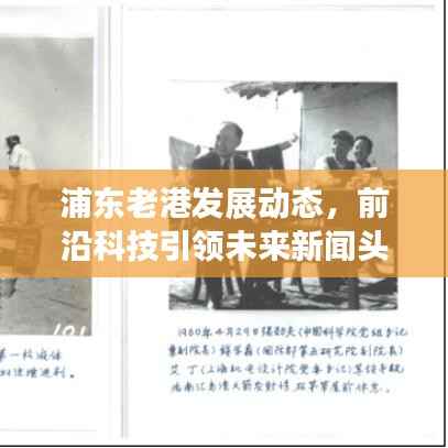 浦东老港发展动态，前沿科技引领未来新闻头条