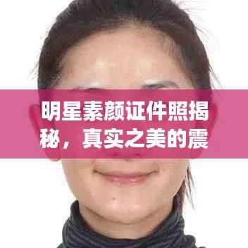 明星素颜证件照揭秘,真实之美的震撼展现!