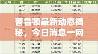 普鲁顿最新动态揭秘,今日消息一网打尽!