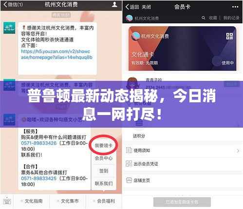 普鲁顿最新动态揭秘,今日消息一网打尽!