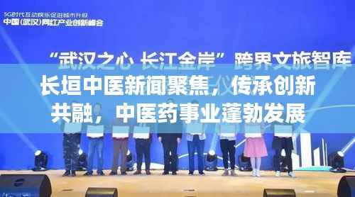 长垣中医新闻聚焦,传承创新共融,中医药事业蓬勃发展