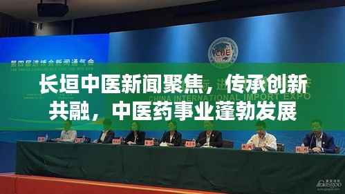 长垣中医新闻聚焦,传承创新共融,中医药事业蓬勃发展