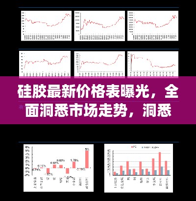 硅胶最新价格表曝光,全面洞悉市场走势,洞悉硅胶价格动态