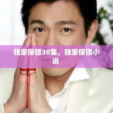 独家保镖30集，独家保镖小说 