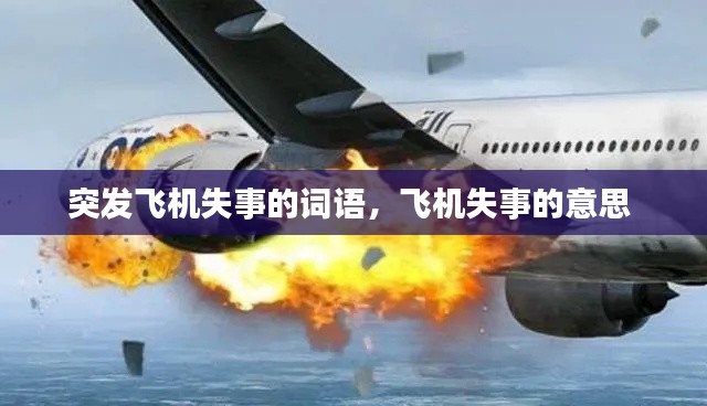 突发飞机失事的词语,飞机失事的意思