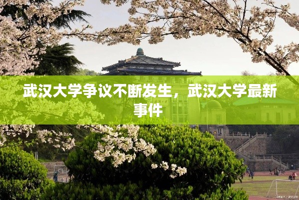 武汉大学争议不断发生,武汉大学最新事件