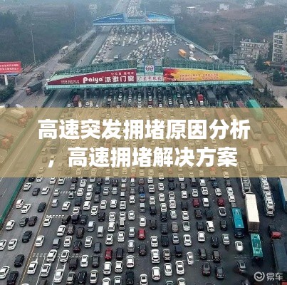 堂而皇之 第3页