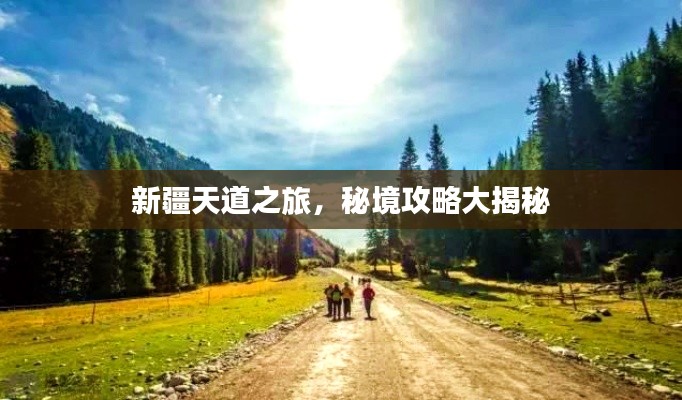 新疆天道之旅,秘境攻略大揭秘