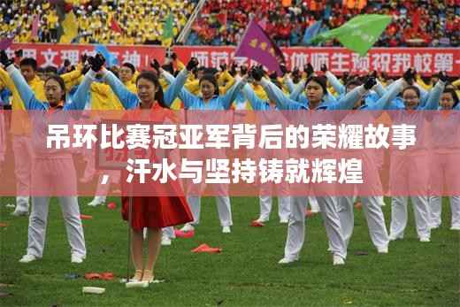 吊环比赛冠亚军背后的荣耀故事,汗水与坚持铸就辉煌