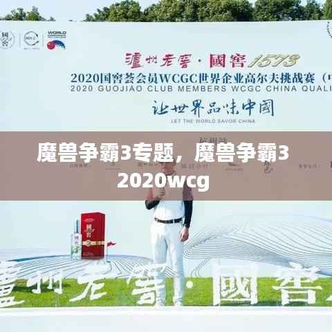 魔兽争霸3专题，魔兽争霸3 2020wcg 