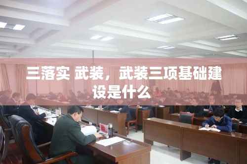 三落实 武装,武装三项基础建设是什么