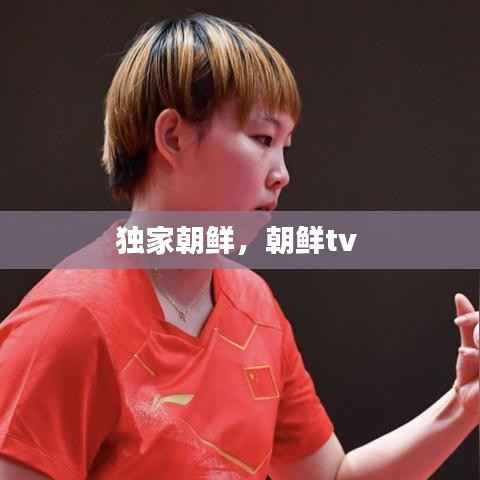 独家朝鲜,朝鲜tv
