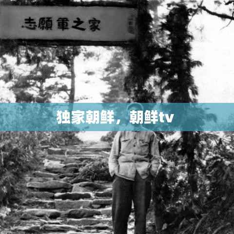 独家朝鲜,朝鲜tv