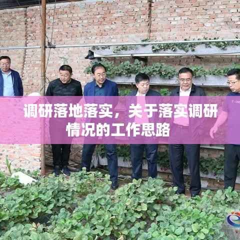 调研落地落实,关于落实调研情况的工作思路