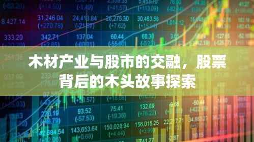木材产业与股市的交融，股票背后的木头故事探索