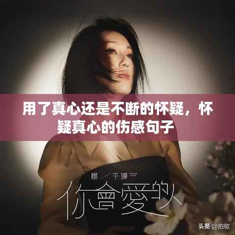 用了真心还是不断的怀疑，怀疑真心的伤感句子 