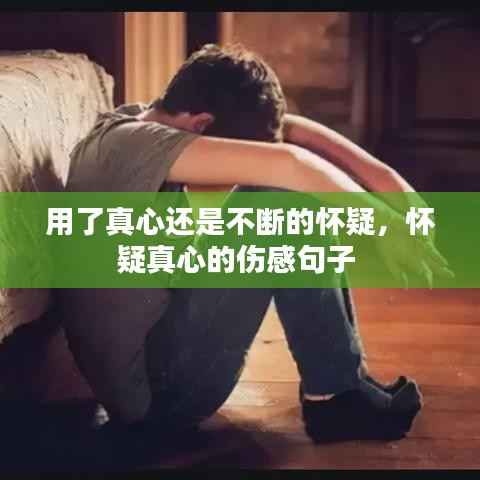 用了真心还是不断的怀疑,怀疑真心的伤感句子