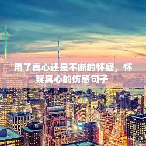 用了真心还是不断的怀疑,怀疑真心的伤感句子