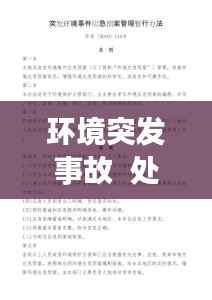 环境突发事故  处罚，突发环境事件处理报告 